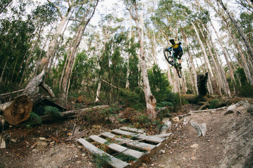 simonmclaine:  Dan Booker