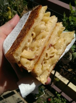 higheramerica:  Cannabis Infused White Chedder Macaroni and Grilled Cheese Sandwich with crusty Parmesan Crust. NOM  Follow higheramerica
