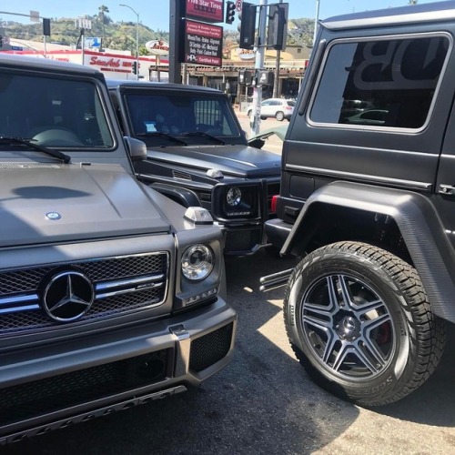thrillestpapi: thrillestpapi