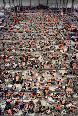 photographyartgallery:
“andreas gursky
”