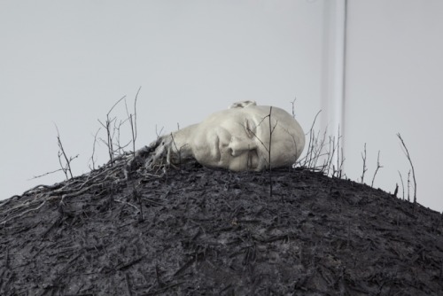 myampgoesto11:  Sculptures by Robert and Shana Parke Harrison  