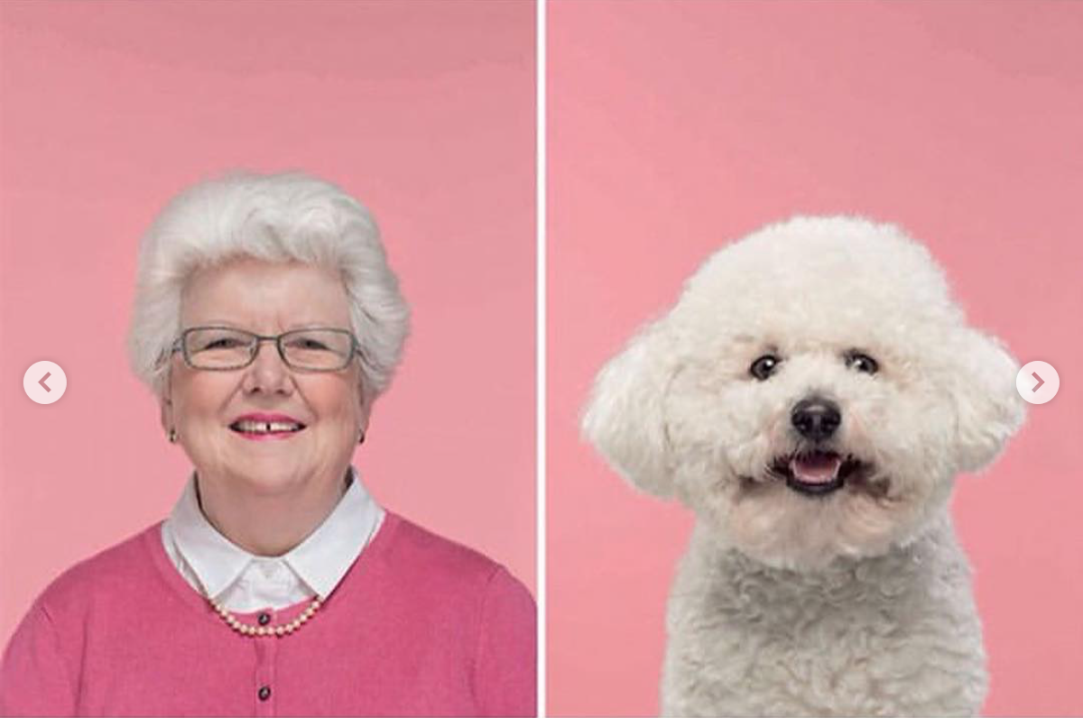 babyanimalgifs: Photographer puts dogs and their owners side by side, and the resemblance