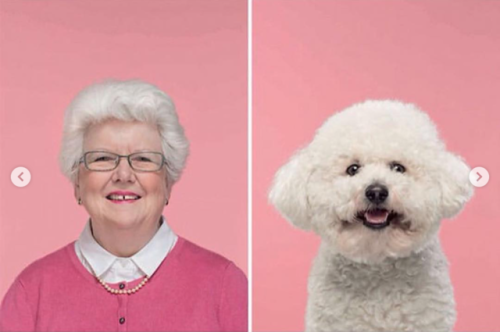 proto-homo:babyanimalgifs:Photographer puts dogs and their owners side by side, and the resemblance 