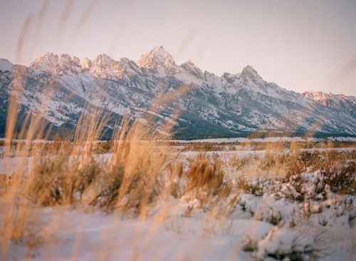 One more film shot from the late fall/early winter. I have been going out to shoot photos a lot late