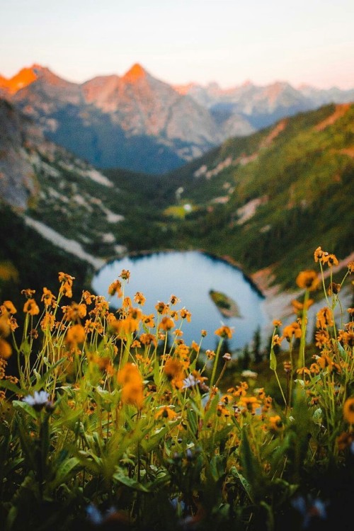 j-k-i-ng:“Spring in the Cascades“ by | Jake Guzman