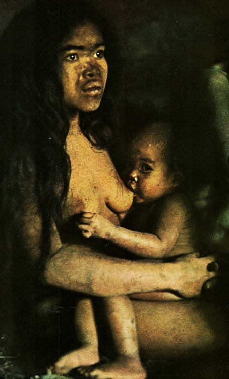 vintagenatgeographic:Tasaday child in the Philippines clings to her mother’s breastNational Ge