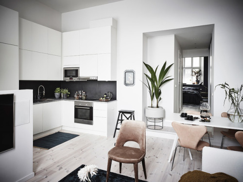 Edgy meets Boho in this Single Apartment | Goteborg, SwedenLayout:(Source: entrancemakleri.se)