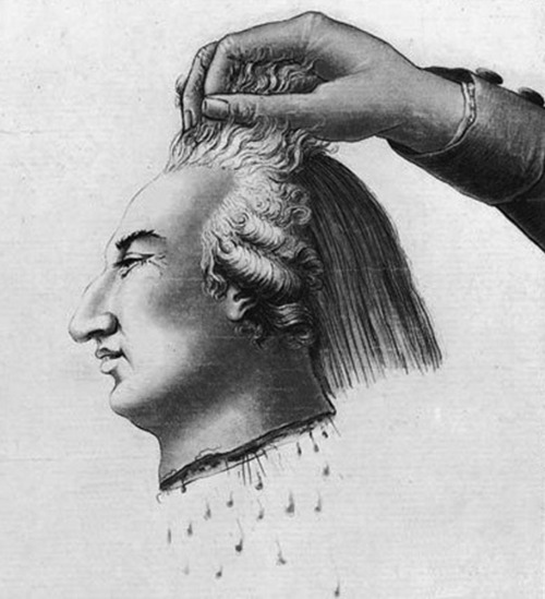 Executed Today, January 21st, 1793,French King Louis XVI, beheaded by guillotine during the French R