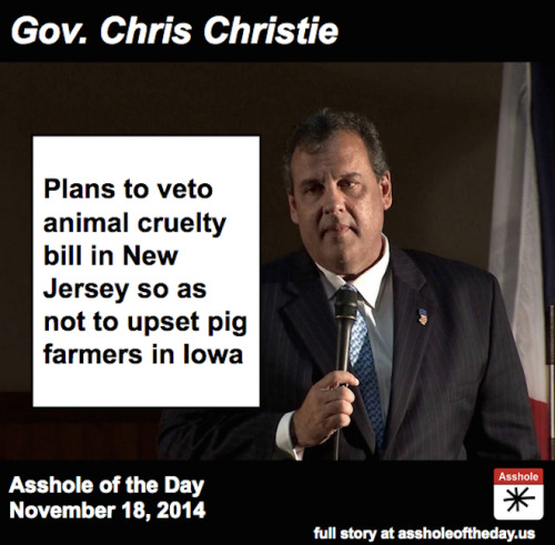 assholeofday:Chris Christie, Asshole of the Day for November 18, 2014by TheDailyEdge (Follow @TheDai