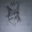 ask-astra-the-cat