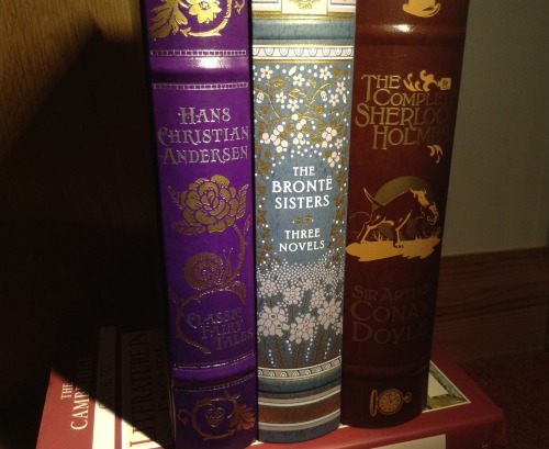 acrossmyfictionaluniverse:  Barnes and Nobel Leather bound Classics <3