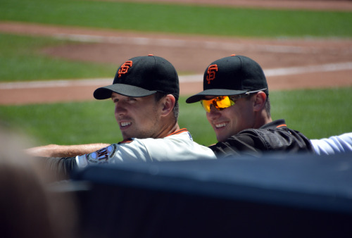 san francisco giants