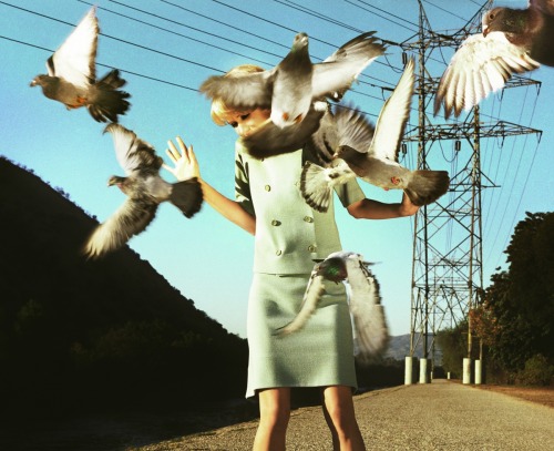 thisobscuredesireforbeauty:Alex Prager. Eve,