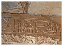 coolartefact:  Carving of an american helicopter chasing two UFO’s in the egyptian temple of Seti in Abydos. 1200 BC Source: https://imgur.com/rXOxZXG