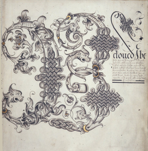 design-is-fine:Calligraphic initial A(nd), B(eloved) and D(o) of Alphabet book, 1575 - 1599. England