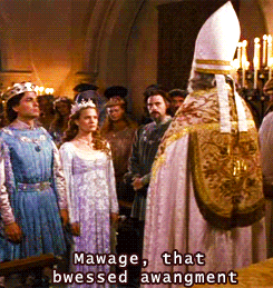 anorganizedprocrastination:  hilariousfandomurl:  aria-the-apple:  Sometimes I judge people by how much of The Princess Bride they can quote.   fun fact At my cousin’s wedding ceremony, his brother recited this to them as the best man speech and everyone