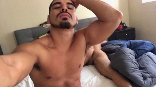 marioollu:  Refugio! A hot latino with a thick hairy body, an uncut dick, and some big low hangers!