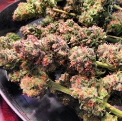 bluntrollerandsmoker:  A strain I call “heaven