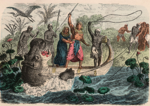 Pharaoh hunting Hippopotamus, c.1866. Heinrich Leutemann. (German, 1824-1904).
