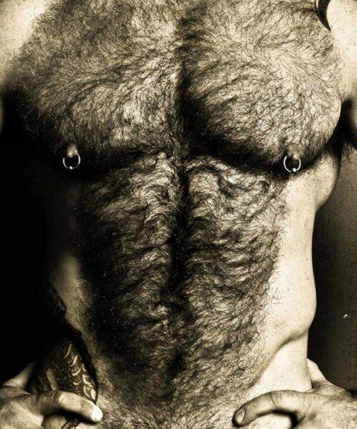 manly-brutes:  manly-brutes.tumblr.com  OMG - he is one hairy, sexy, nip pierced