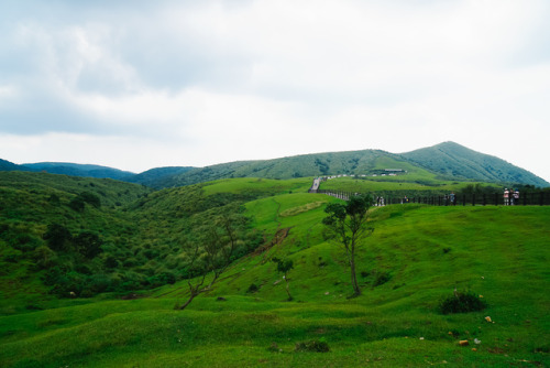 Yangmingshan National Park, TaiwanDownload here