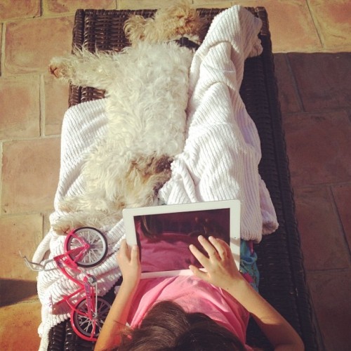 Scenes on a Saturday morning at Maison Slone: kid #2 building an iPad app while lounging outside in the sun by the pool with the French Fox Terrier, Pascal #france (at Valbonne (06), France)