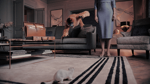 hdmdaily:official His Dark Materials Season 1 stills 