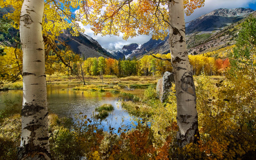 Autumn at Lundy Canyon by Matt Granz Photography on Flickr.