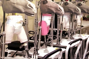 apocalypanties:excellent, science is going exactly as planned
