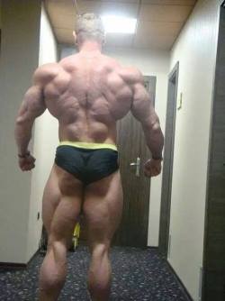 muscular guys, bodybuilders and my states