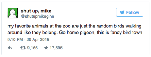 pleatedjeans:  15 Twitter Jokes Everyone Should Read 