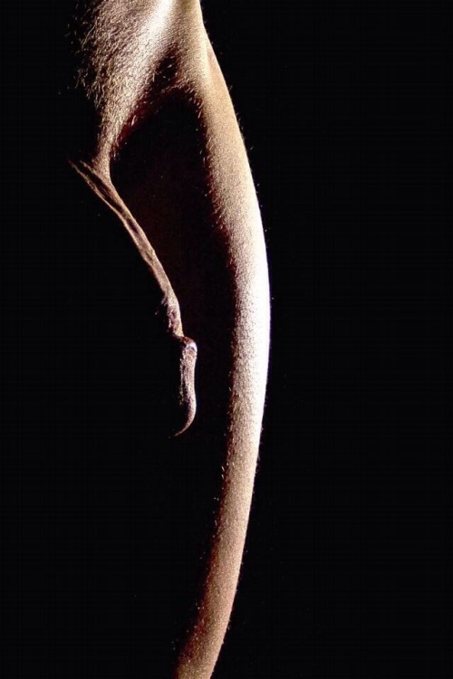 The Sensual Arts: NSFW 21+