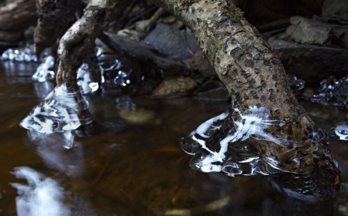 The way the river kisses its banks in the winter creates beautiful ice formations anywhere water set