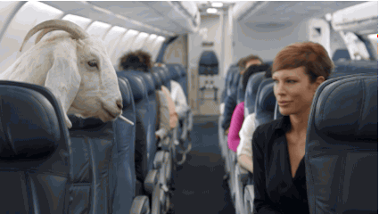 konkeydongcountry:aconnormanning:huffingtonpost:Delta’s Weird New Safety Video Has Every Meme And In