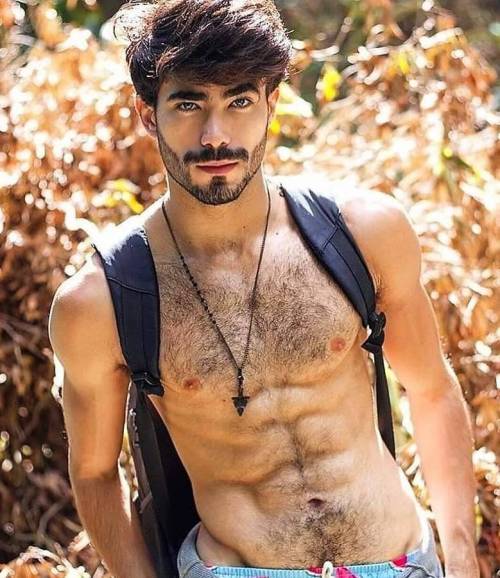 hairy abs