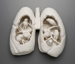 Nock-Nock-Nock:    Kate Macdowell  