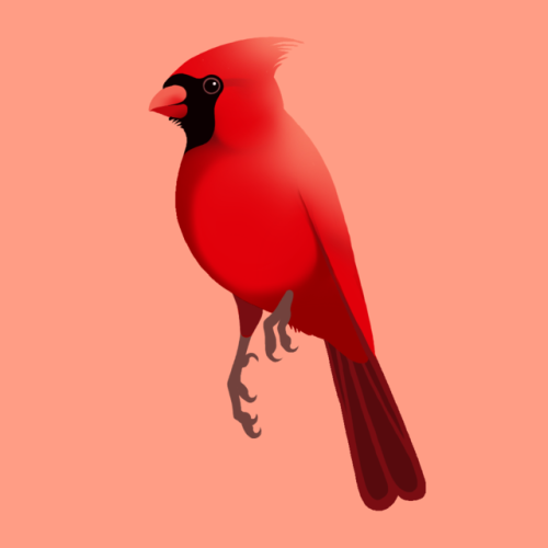 A classic cardinal for #huevember day nine 