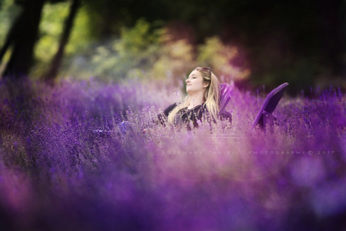 rosemarydanielis: ~ Lavender ~One whiff of its purple perfume restores my belief in magic.  (rights reserved, leave credits * please reblog but not to nsfw 18+) 
