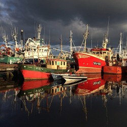 coffeentrees:  Beautiful light in Killeybegs