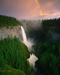 woodendreams:  (by Adam Gibbs) 
