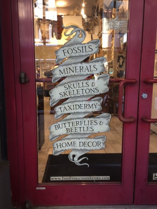 rosa-puella: frenchifries: found this incredible store yesterday on 3rd and broadway!! I have a migh