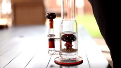 selfprescribedstoner:  Seed of Life (colabaration) - Sacred Shaman 5 x Amanita Mushroom Perc  Holy fuck I need thissss