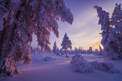magic-spelldust:  Olonkho   