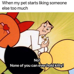 bloojayoolie:  Too Much, Can, and Pet: When my pet starts liking someone  else too much  No!  None of you can ever hold kitty!