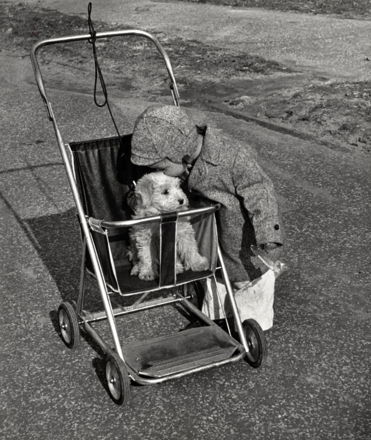 Central Park (Little boy with dog in stroller), New York City,  Ruth Orkin. Gelatin silver print.