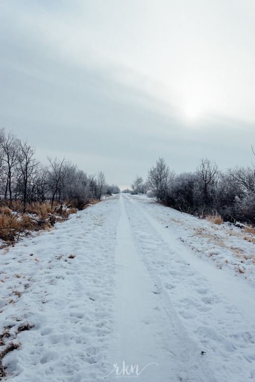  Frozen Trails (tumblr | instagram | society6) 