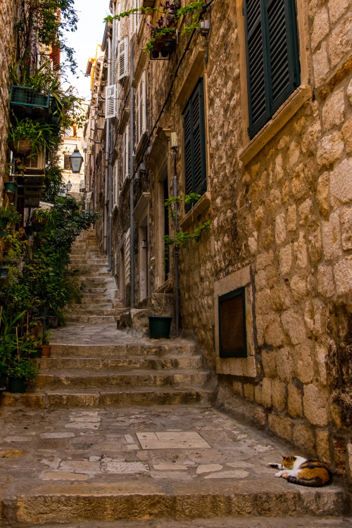 Dubrovnik steps / Croatia (by Lars Helge Indrelid).