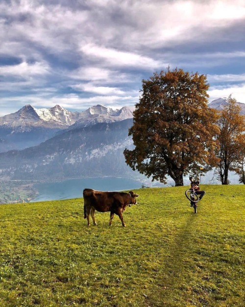 mtbswitzerland:Happy wheelie Wednesday! Via ‍♂️ @pignon3000 . @kiwifritz . . #MTBswitzerland #whee