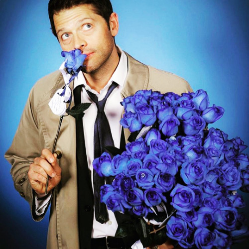 janblue:  misha This weekend, fans gave me 100 blue roses–1 for each episode of supernatural i’ve wo