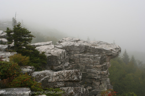 appalachianphotojournal:Storm on the Mountain: Dolly Sods, West Virginia (September 2006)What makes 